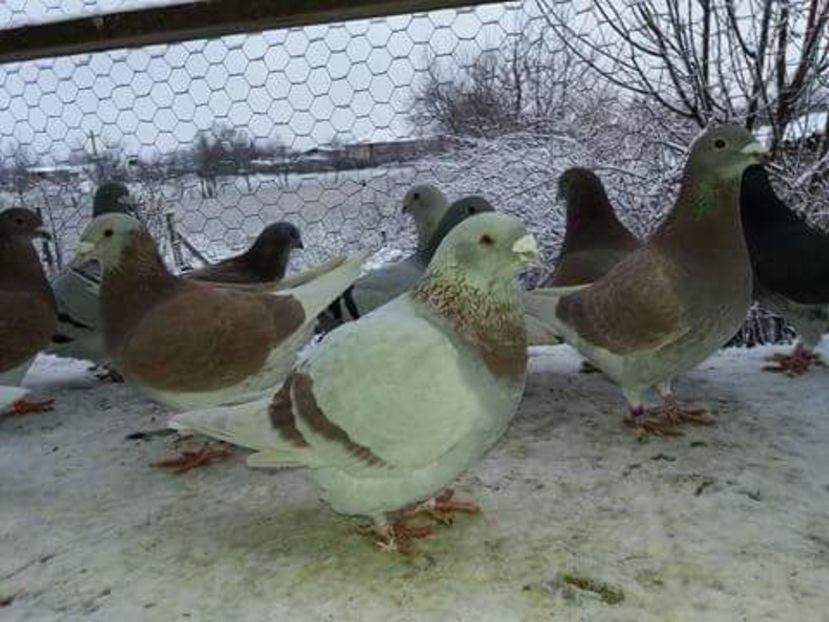 received_1893574944210605