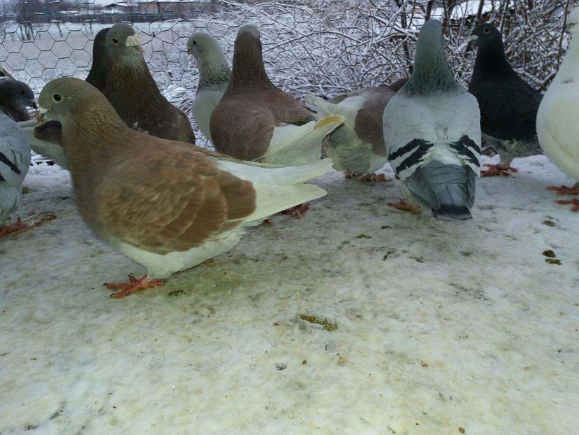 received_1893574614210638