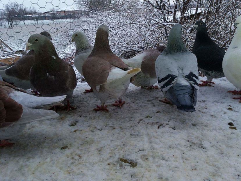 received_1893574537543979