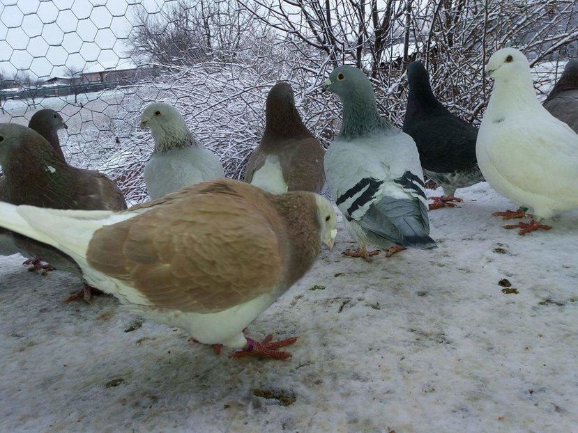 received_1893574274210672