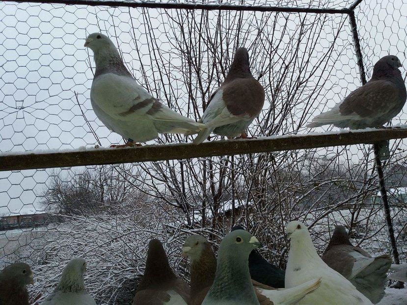 received_1893572767544156