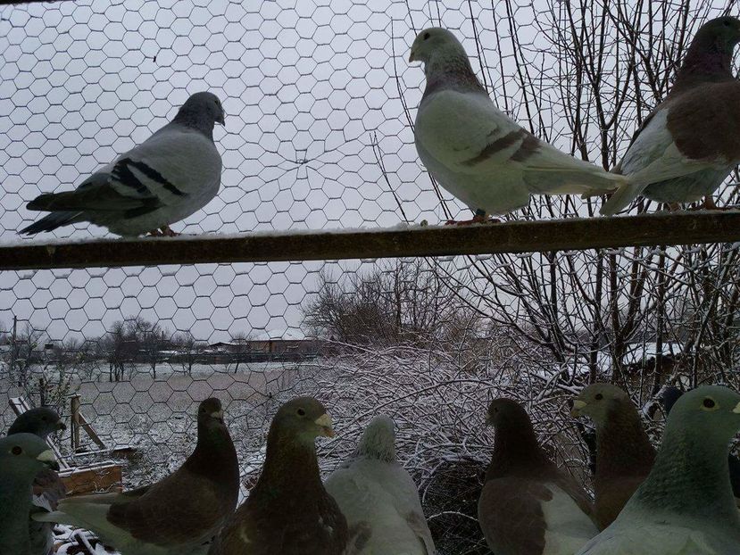 received_1893572700877496