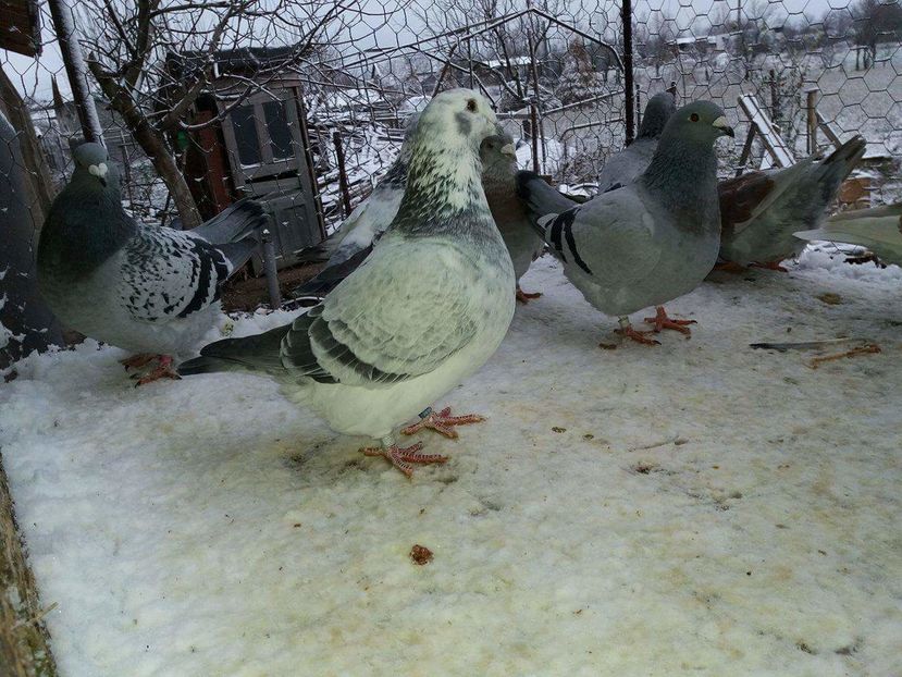 received_1893572480877518