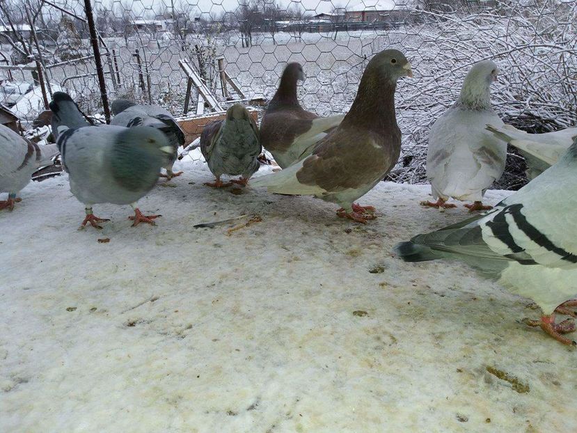 received_1893572340877532