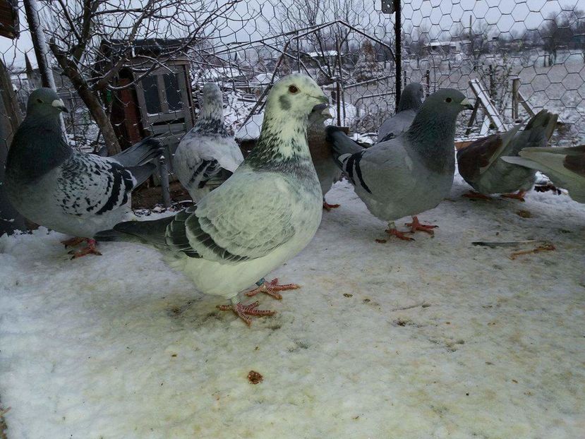 received_1893572337544199