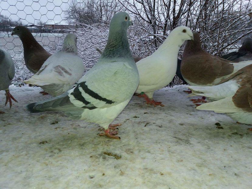 received_1893571964210903