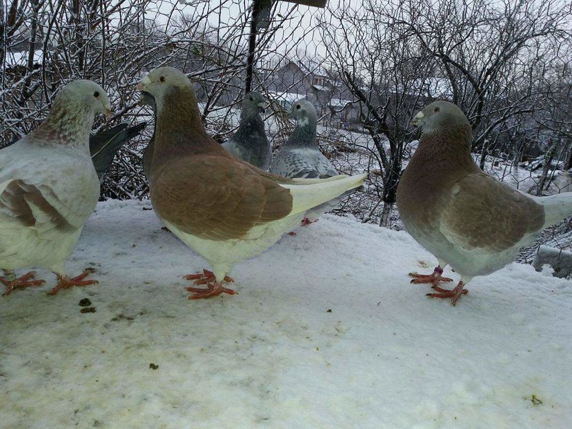 received_1893571664210933