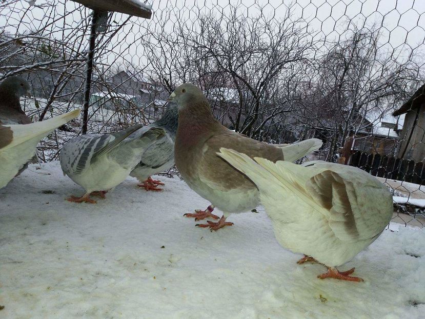 received_1893571660877600