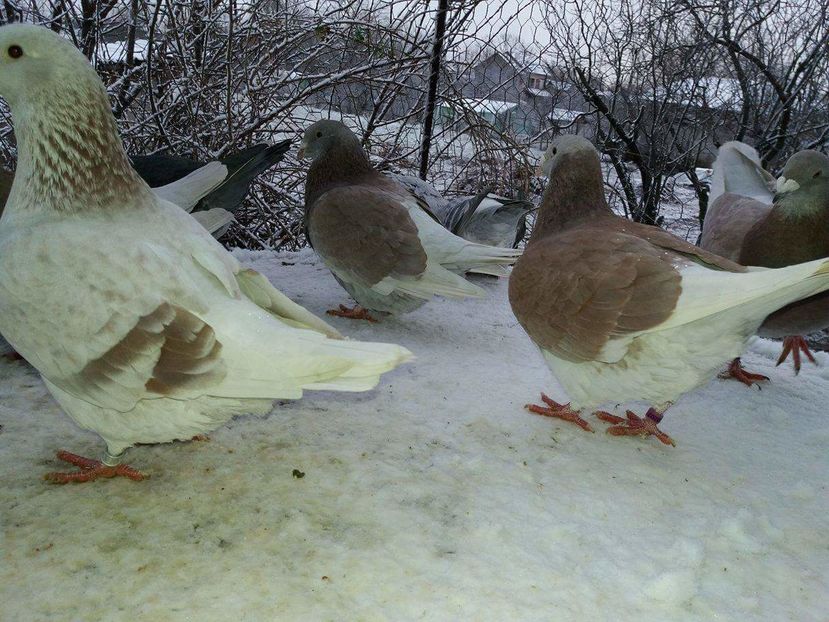 received_1893571514210948