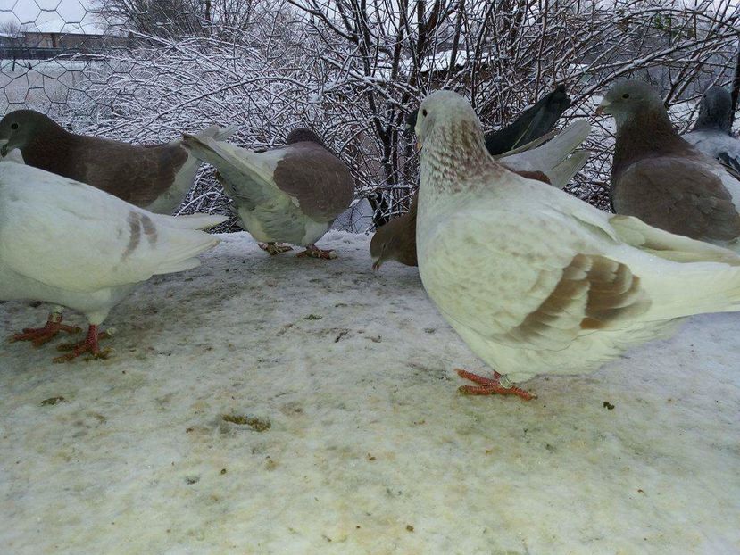 received_1893571460877620