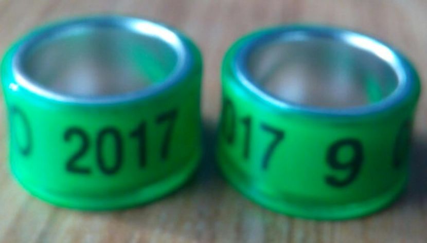 2017-verde-9mm....-1 leu