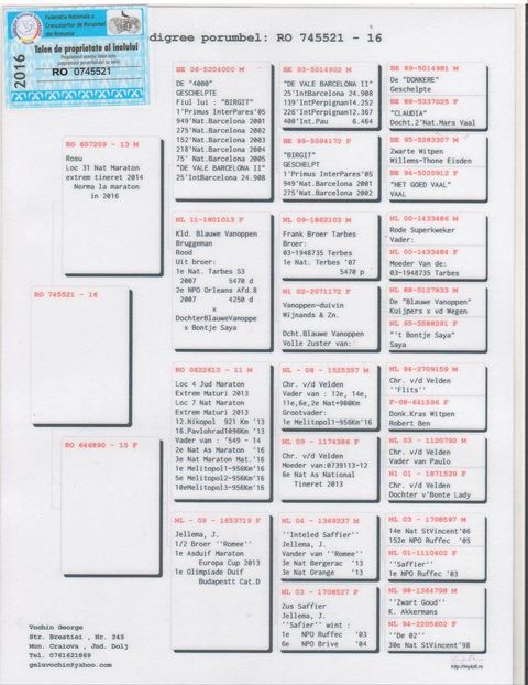 mascul 1 - pedigree