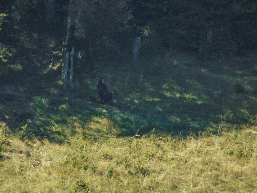 Mai trebuia o coasa'n mana... - Photo 04 - Toamna