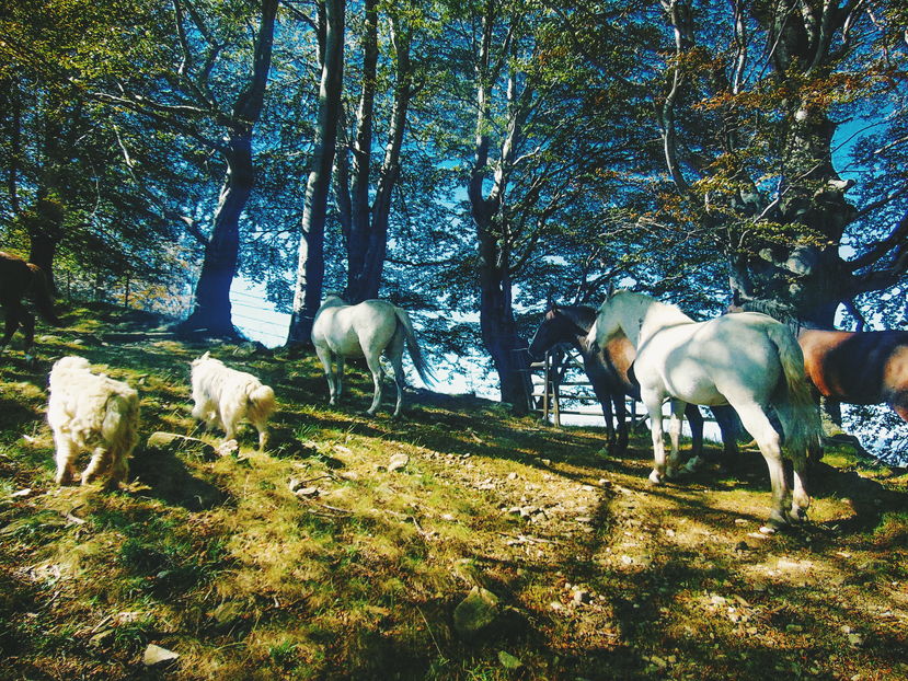  - Photo 04 - Toamna