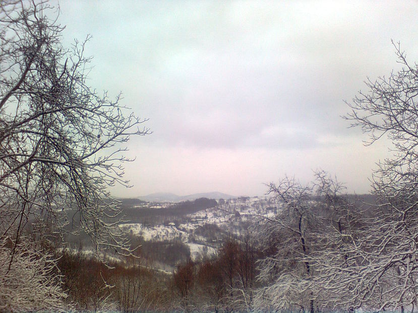  - IARNA LA RUNCSOR