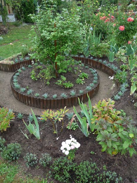 Numai bine le-a prins ploaia!; P2020106
