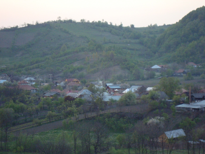 DSC00958 - imagini panoramice cu satele comunei Livezi