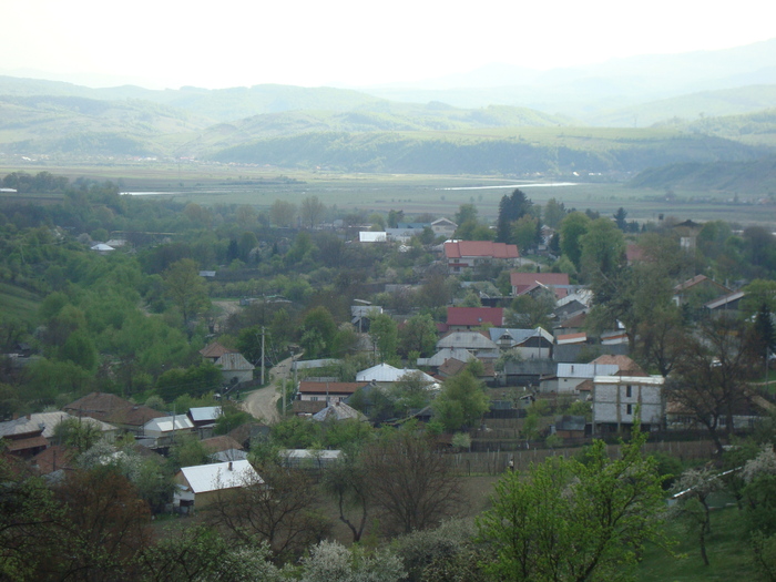 DSC00914 - imagini panoramice cu satele comunei Livezi