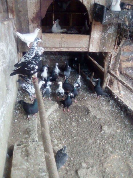 received_1738206096505847 - contact00393292715291