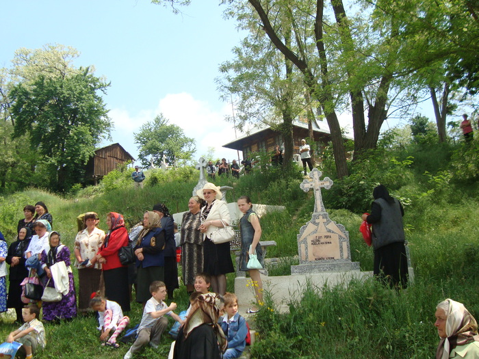 DSC01135 - imagini panoramice cu satele comunei Livezi