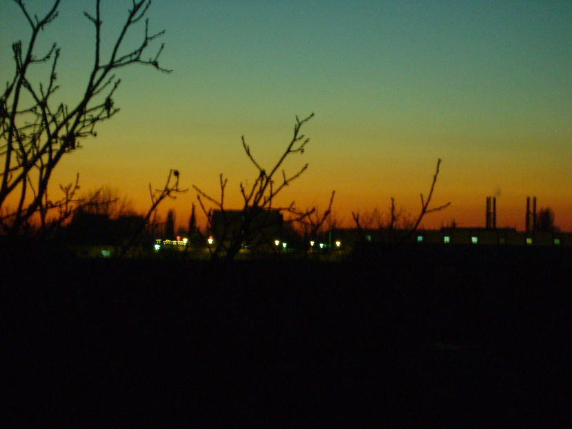 Curtea pe inserate - v Iarna 2016-2017-2018