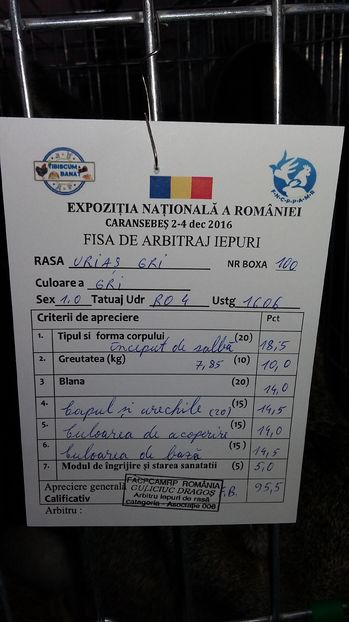  - Rezultate nationala caransebes 2016