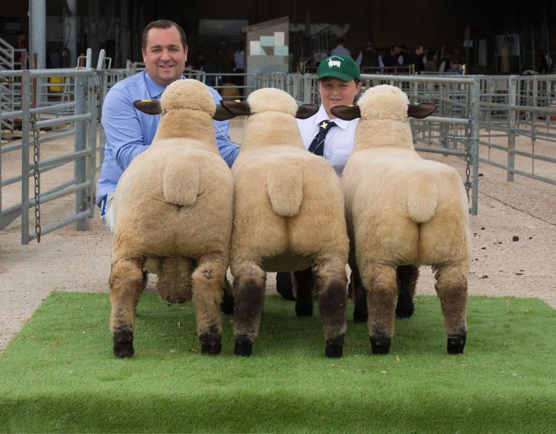 Funduri de berbecuti Hampshire