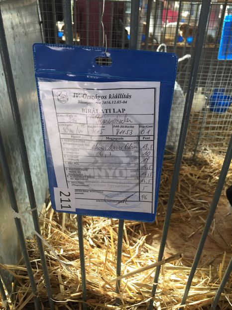  - Expozitia Nationala Ungaria 3-4 decembrie 2016