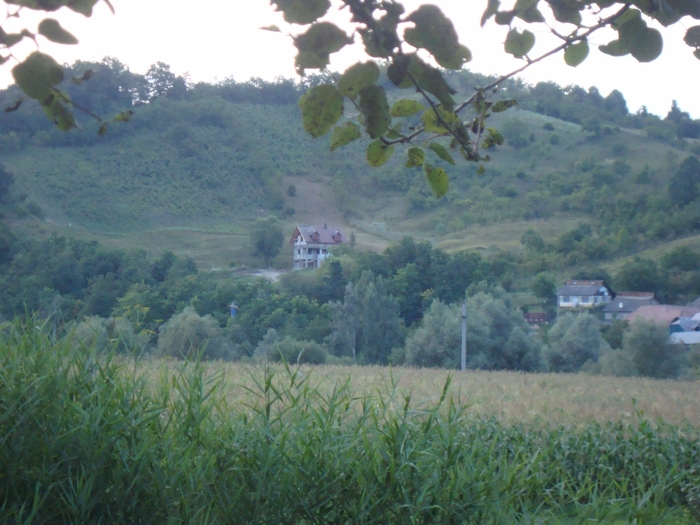 DSC01765 - imagini panoramice cu satele comunei Livezi