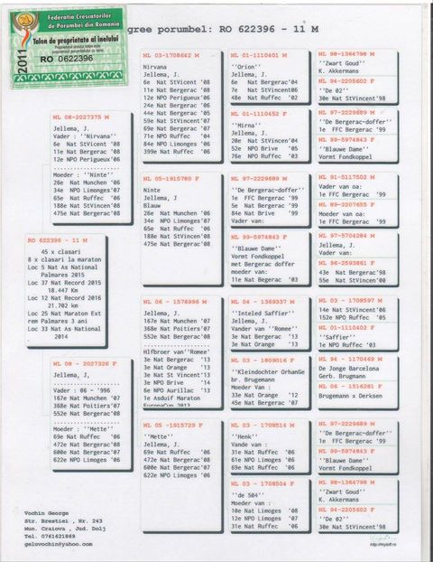 pedigreu-622396-2011 - PORUMBEI MARATON - JELLEMA