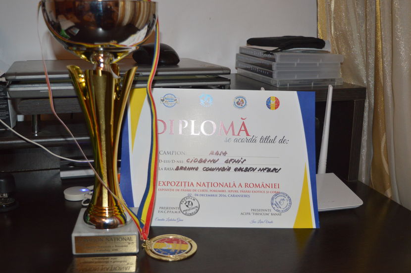  - 3 DIPLOME SI AUTORII ACESTORA