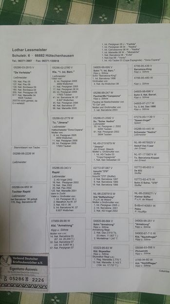 Pedigree lothar lessmeister - Lothar Lessmeister