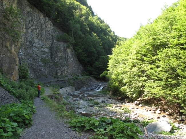 prin Cheile Tisitei - OBIECTIVE TURISTICE DIN VRANCEA