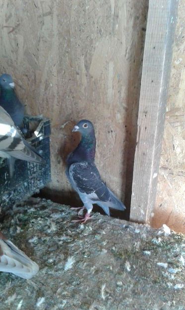 received_1246343495440885