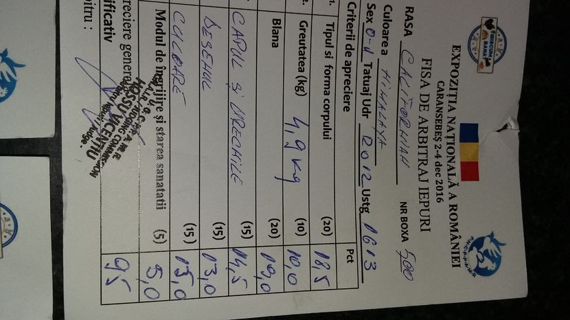 Ro 12 95 pct fem calif