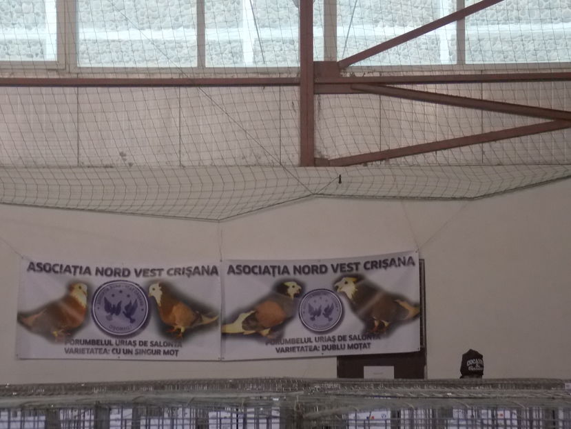  - EXPO-2016-NATIONALA CARANSEBES