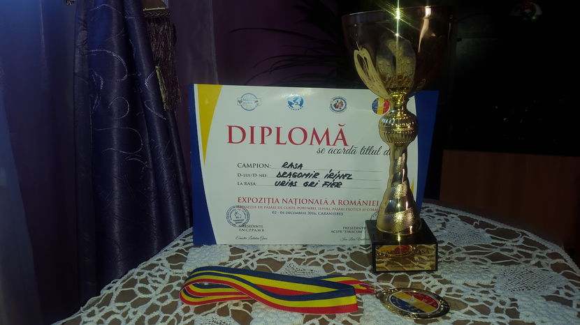 Campion Rasa grifier