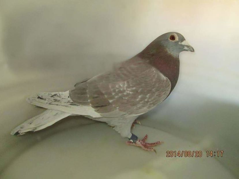 received_771330652994644