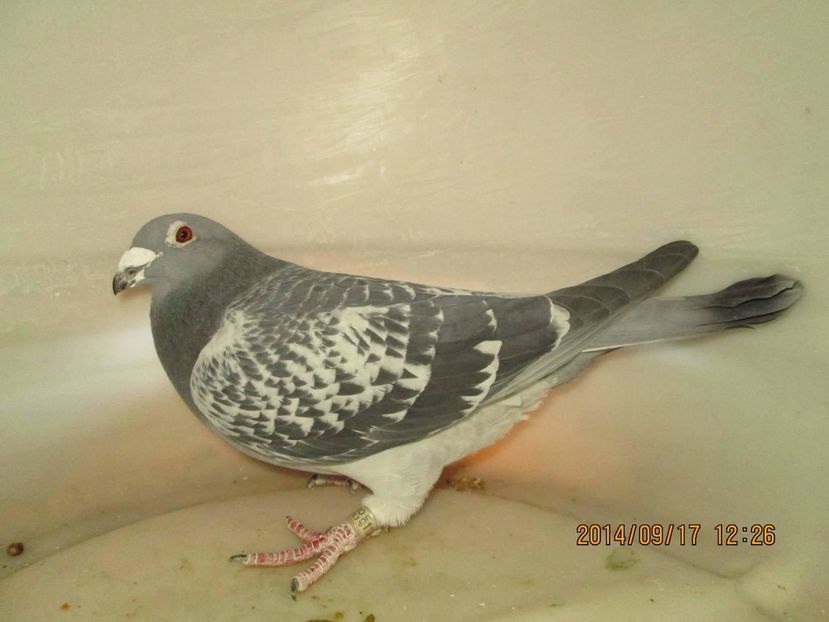 received_847637448695366