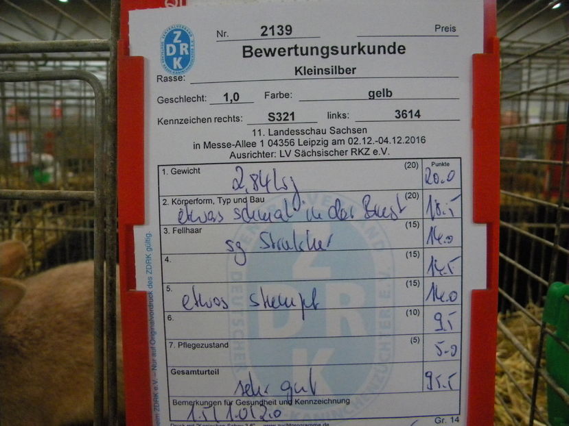  - Expo Leipzig 2016 dec