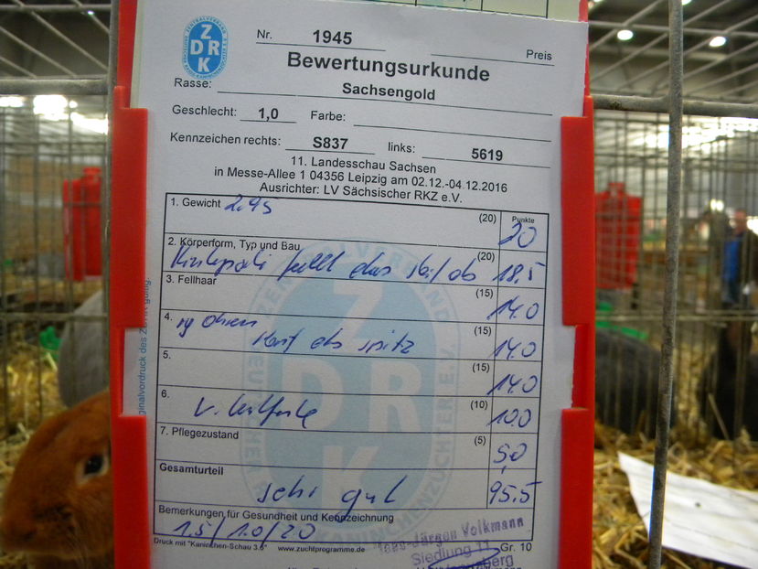  - Expo Leipzig 2016 dec