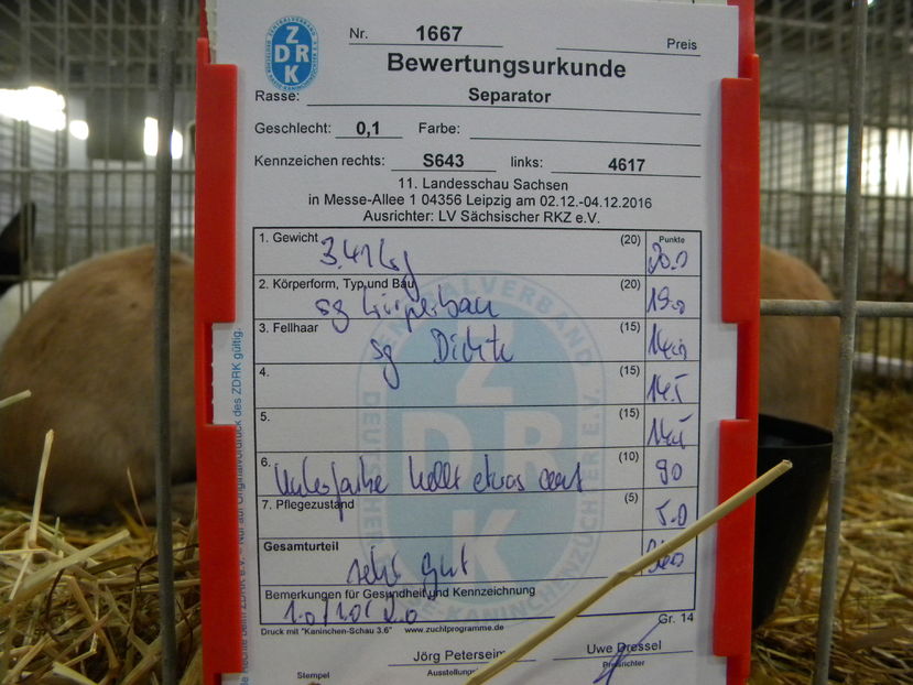  - Expo Leipzig 2016 dec