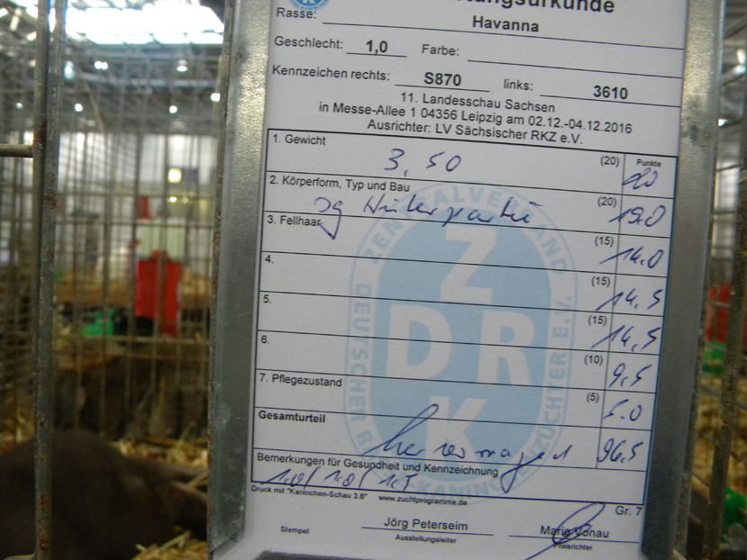  - Expo Leipzig 2016 dec