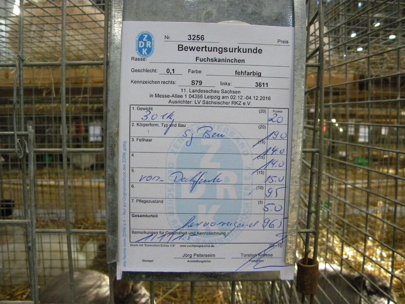  - Expo Leipzig 2016 dec