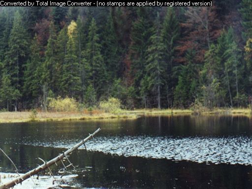 Lacul Negru - OBIECTIVE TURISTICE DIN VRANCEA