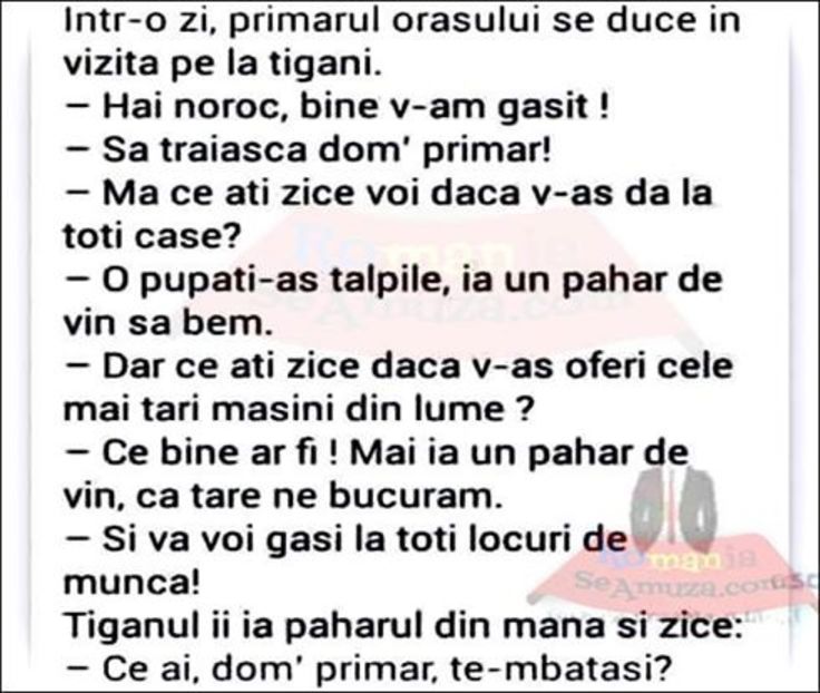 15202725_1900203940210547_5051446344666607827_n - Diverse