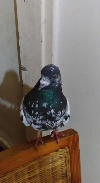 received_220306038406850