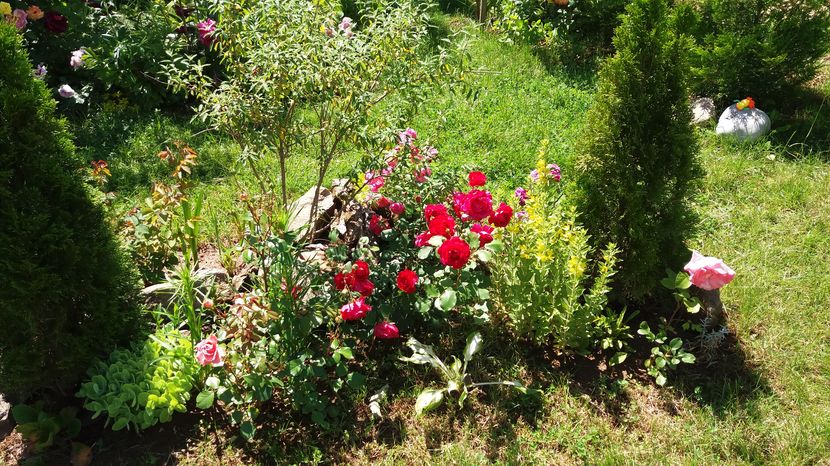 Kimono, ws 2000 si angela