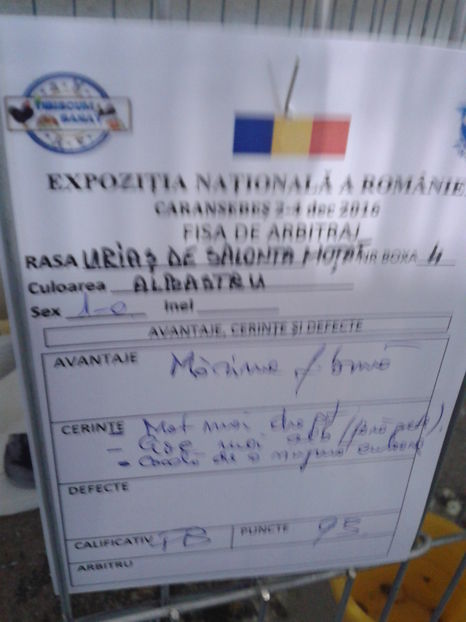 Fotografie0643 - 16---expozitie caransebes 03 12 2016