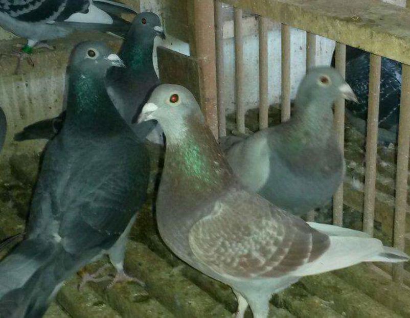 received_847637498695361